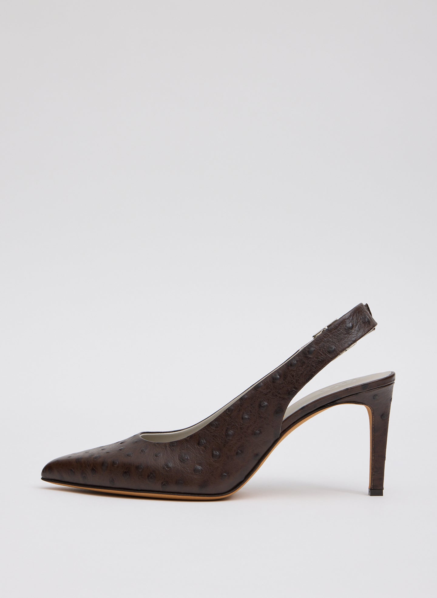 Ostrich Print Reyner Pump | Tibi