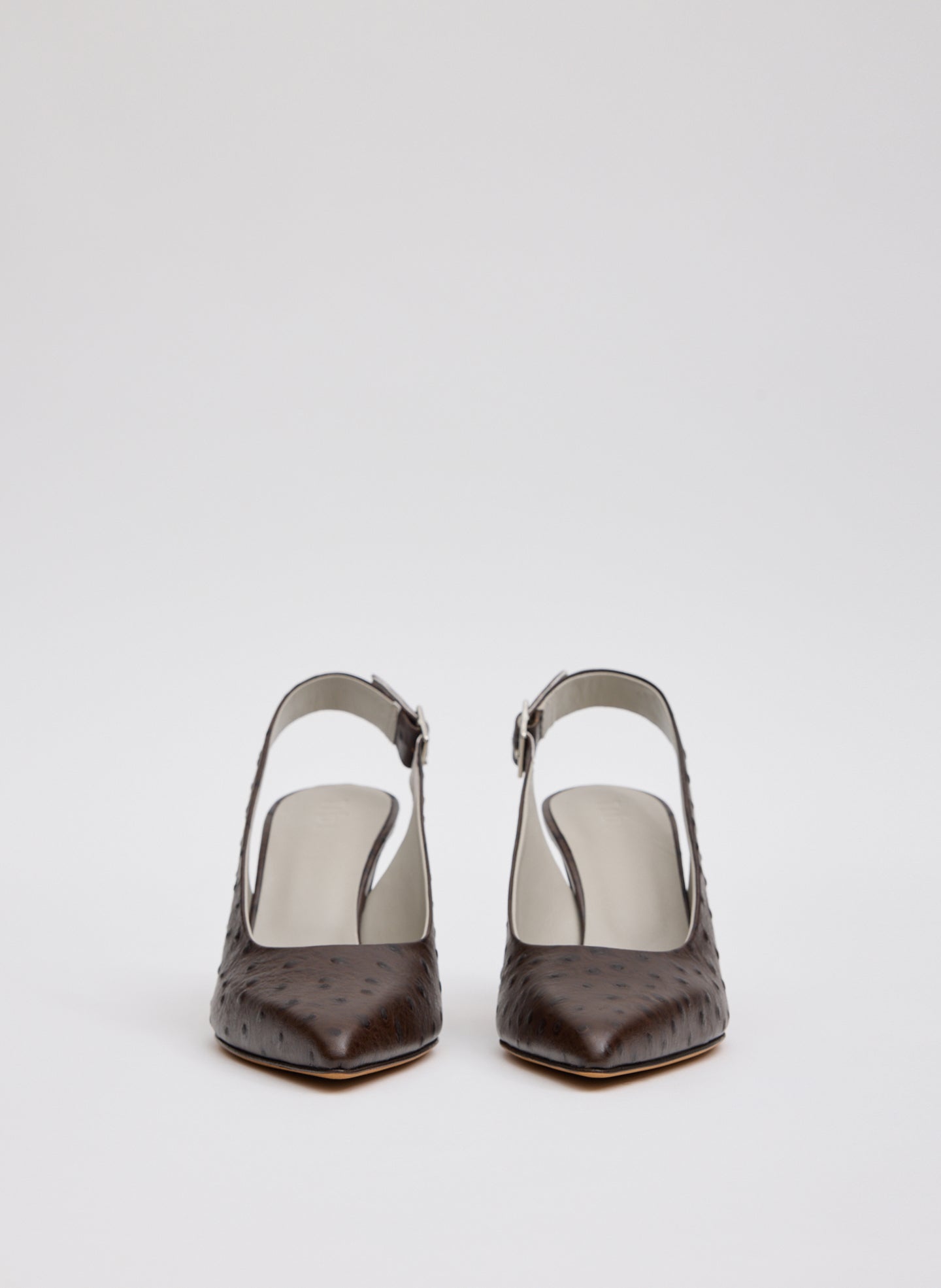 Ostrich Print Reyner Pump | Tibi