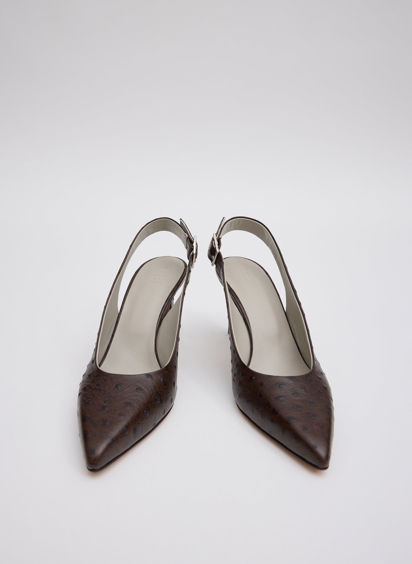 Ostrich Print Reyner Pump | Tibi