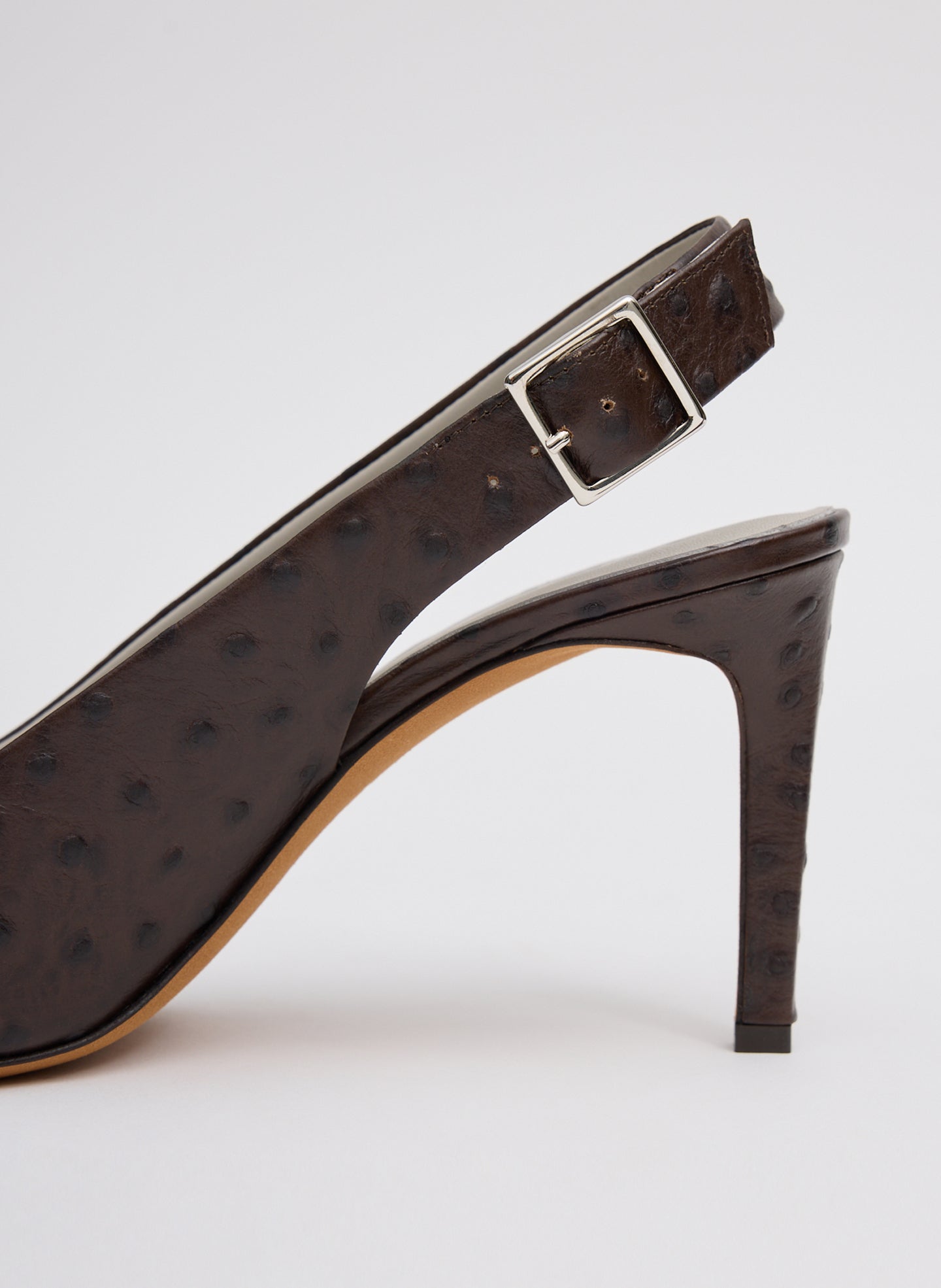 Ostrich Print Reyner Pump | Tibi