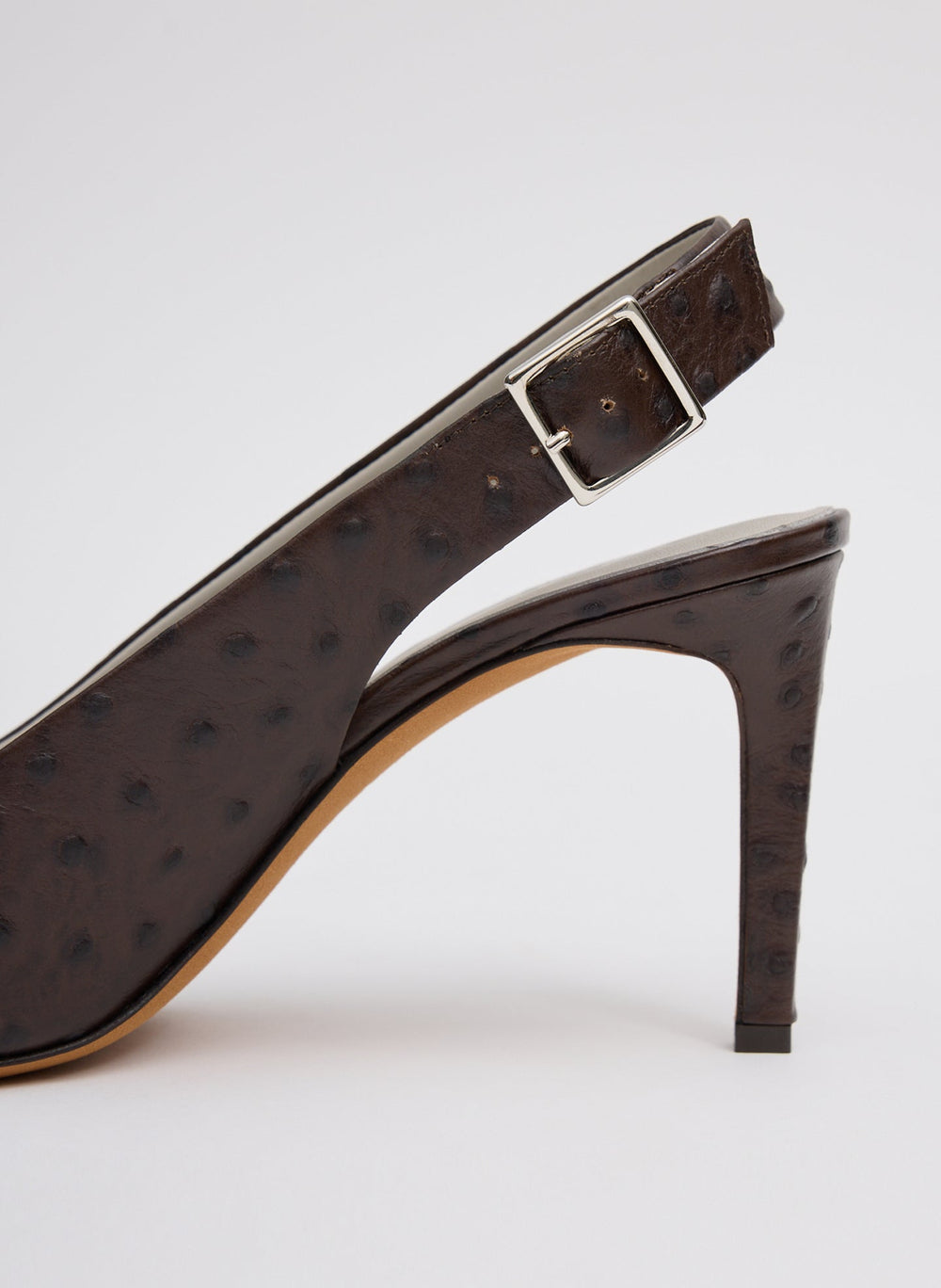Ostrich Print Reyner Pump | Tibi