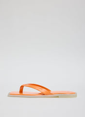 Arnie Sandal | Tibi