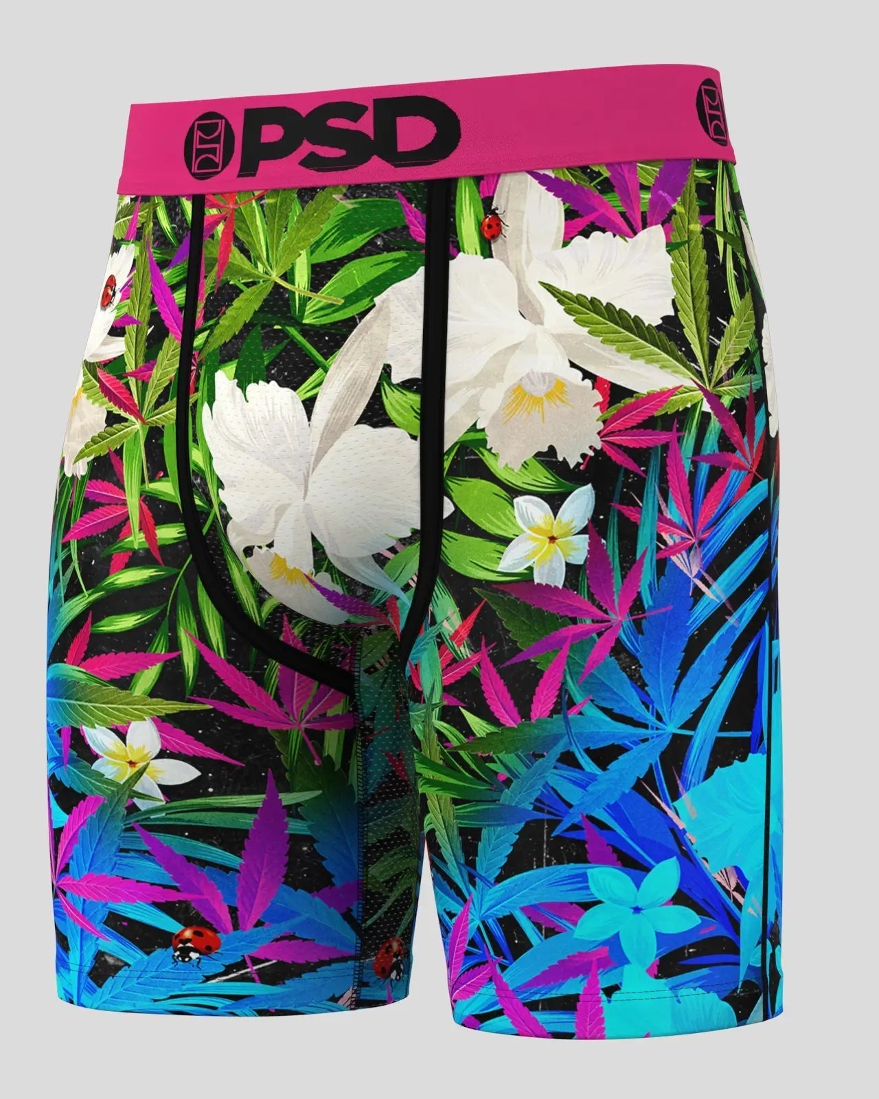 PSD 6 Pack - Tropics - Standard Length