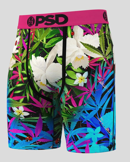 PSD 6 Pack - Tropics - Standard Length