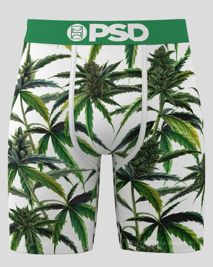 PSD Buds & Bloom - Standard Length