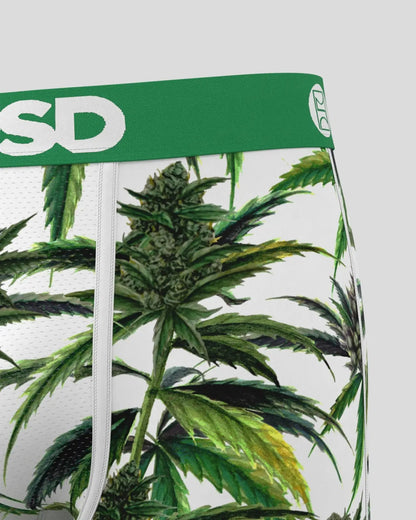 PSD Buds & Bloom - Standard Length